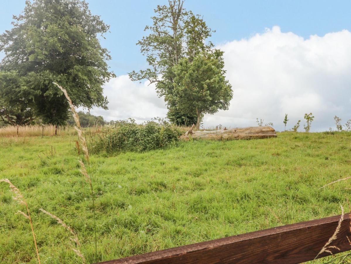 Вілла Meadow View Ніна Екстер'єр фото